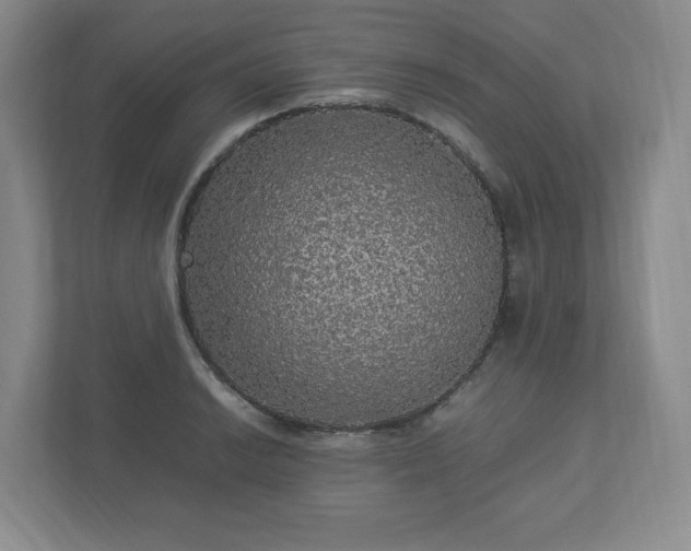 X0000113071038200909041054