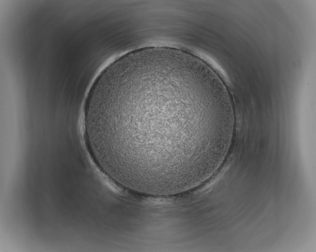 X0000113071040200909041054