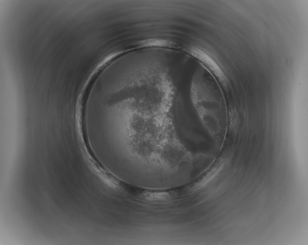 X0000113071043200909041054