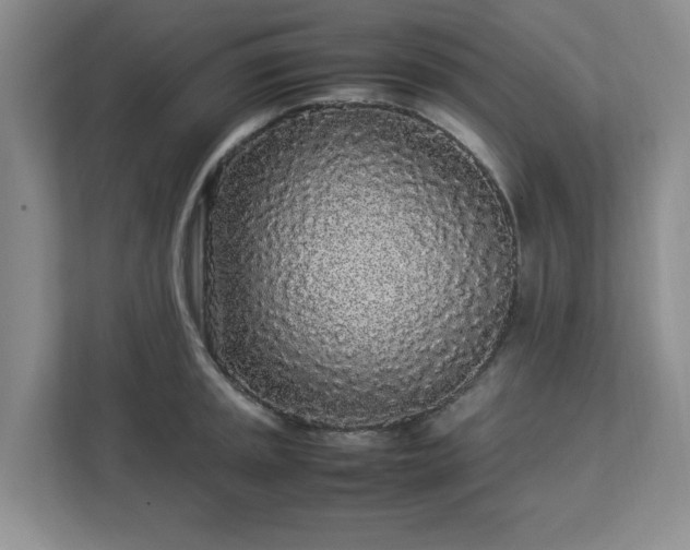 X0000113071045200909041054