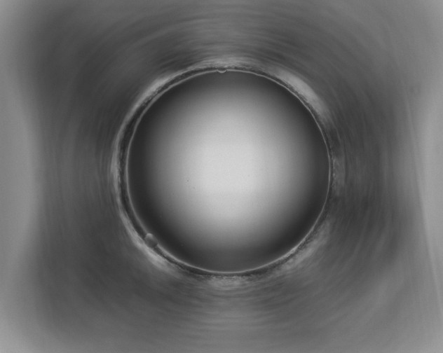 X0000113071046200909041054