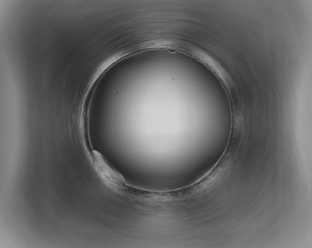 X0000113071050200909041054