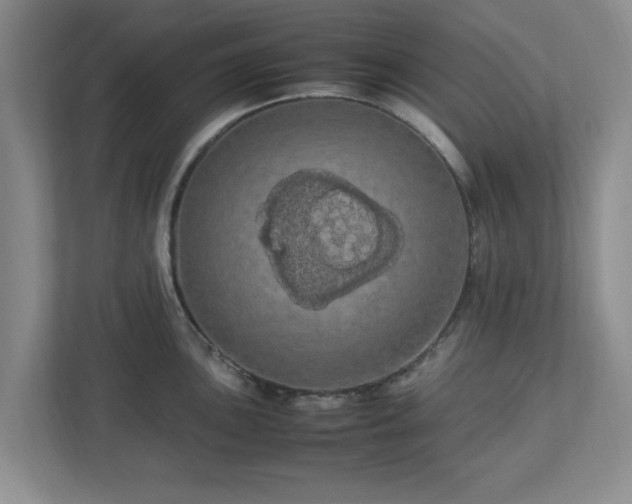 X0000113071051200909041054