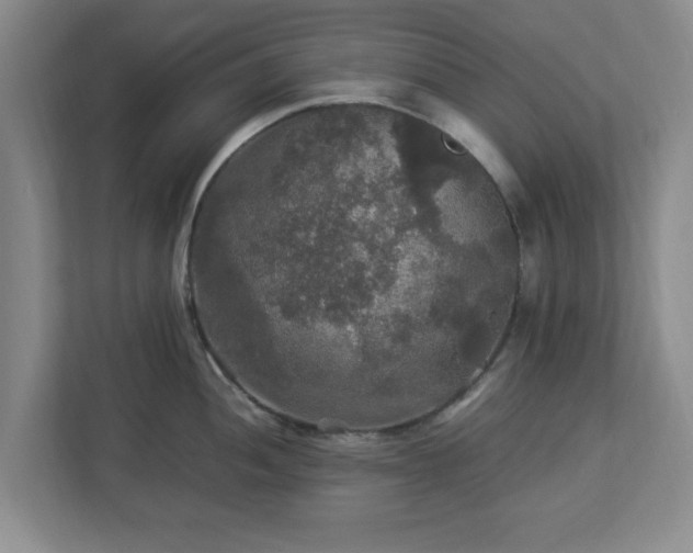 X0000113071052200909041054