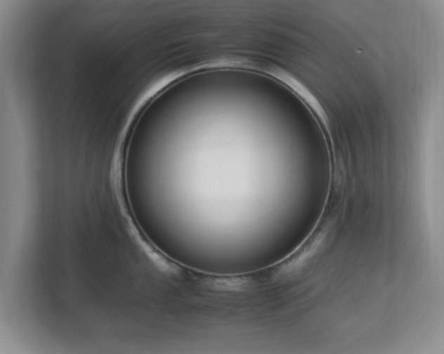 X0000113071053200909041054