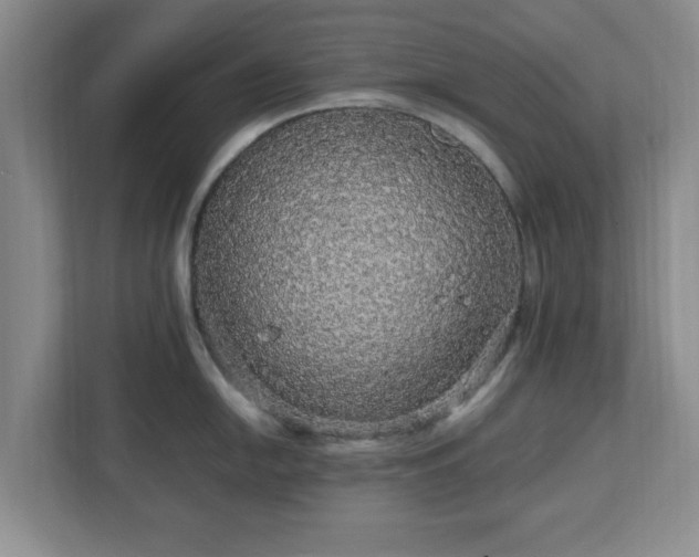 X0000113071054200909041054