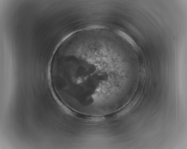 X0000113071055200909041054