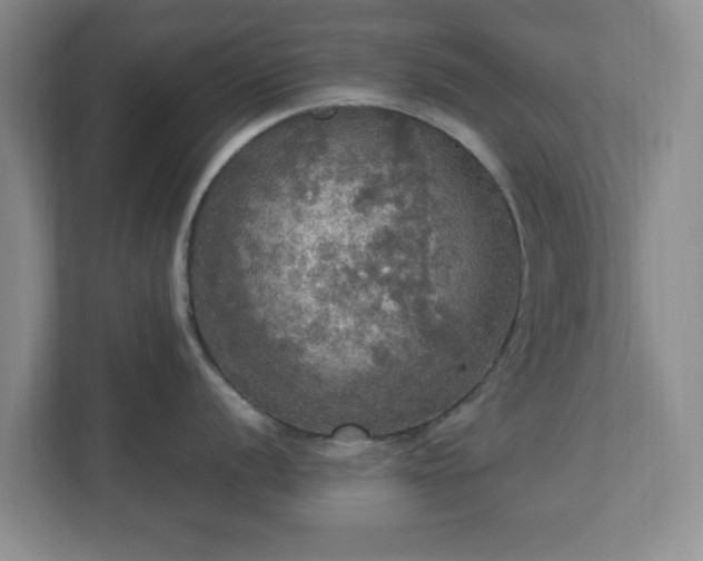 X0000113071056200909041054