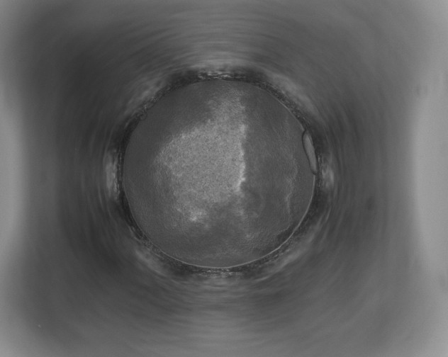 X0000113071060200909041053