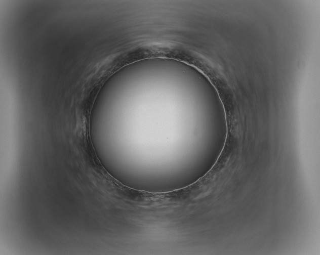 X0000113071061200909041053