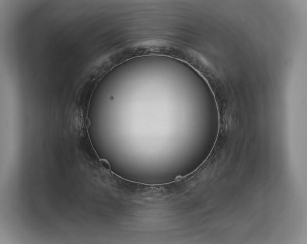 X0000113071062200909041053