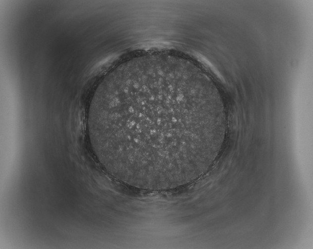 X0000113071063200909041053