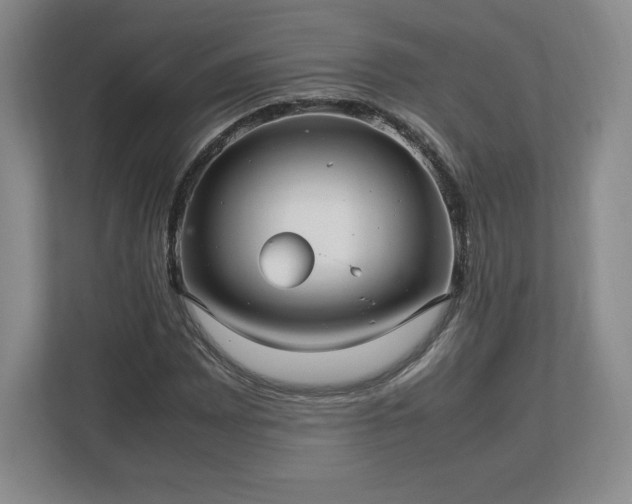 X0000113071065200909041053