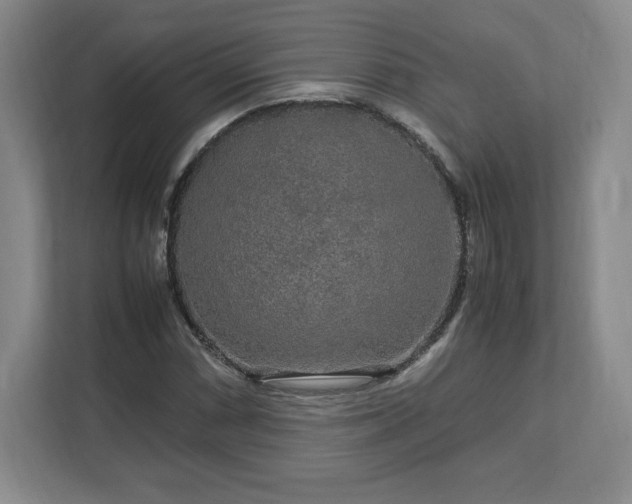 X0000113071066200909041053