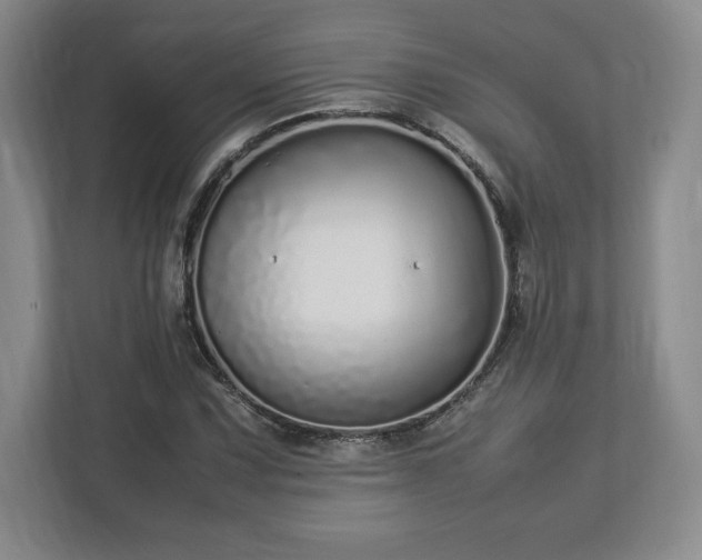 X0000113071067200909041053