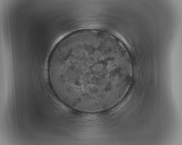 X0000113071071200909041053