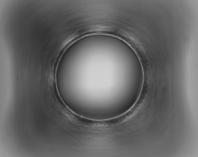 X0000113071073200909041053