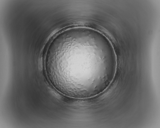 X0000113071075200909041053