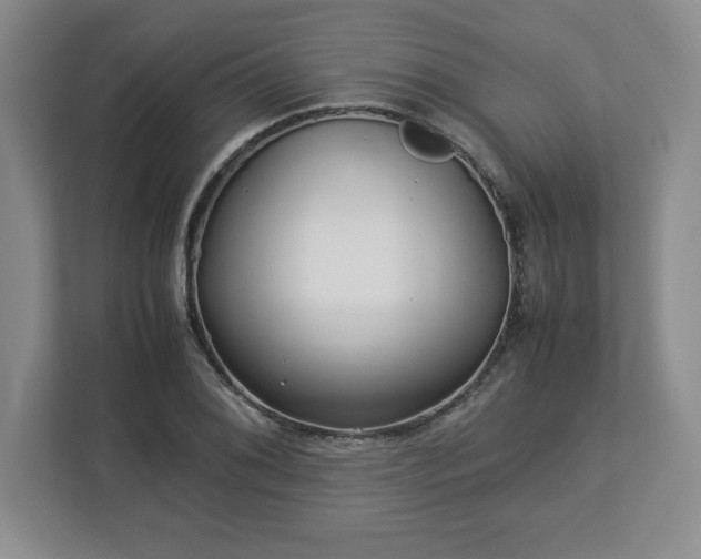 X0000113071076200909041053