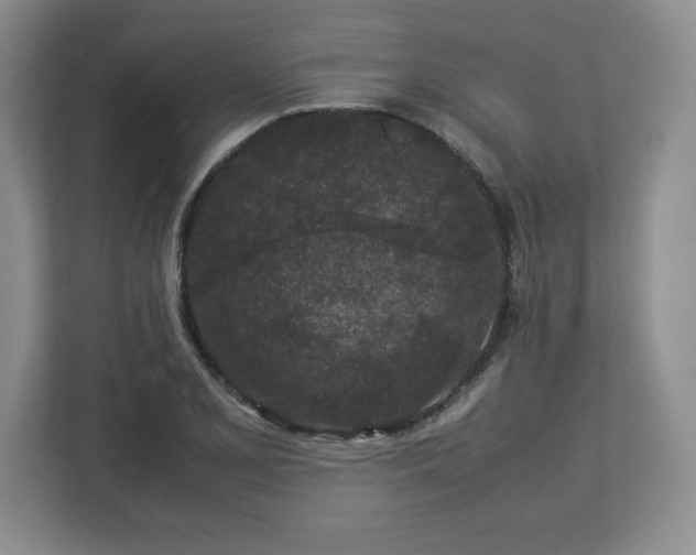 X0000113071077200909041053