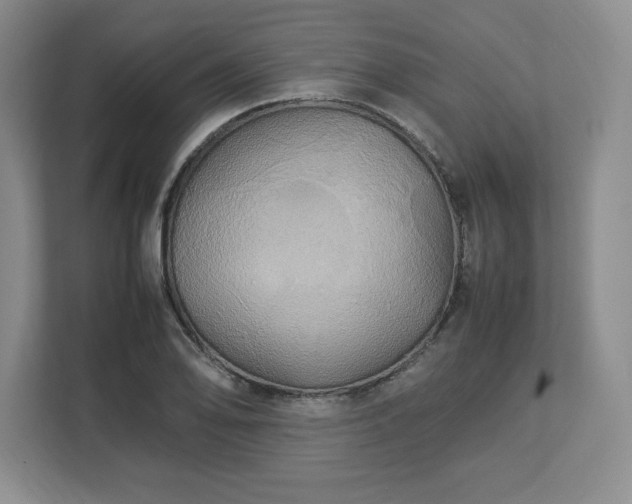 X0000113071078200909041053