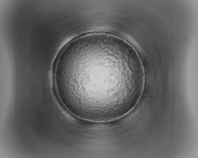 X0000113071079200909041053