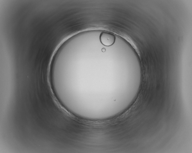 X0000113071080200909041053