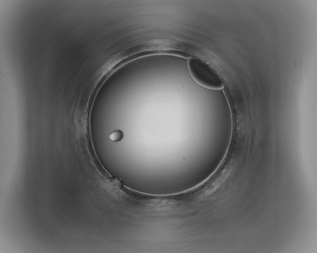 X0000113071081200909041053