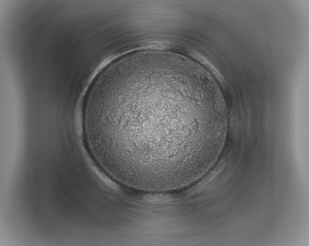 X0000113071083200909041053