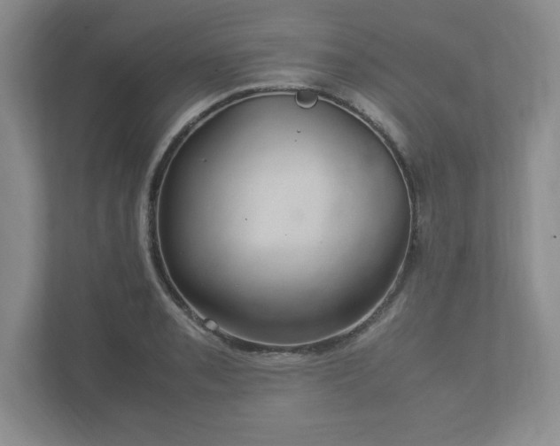 X0000113071085200909041053