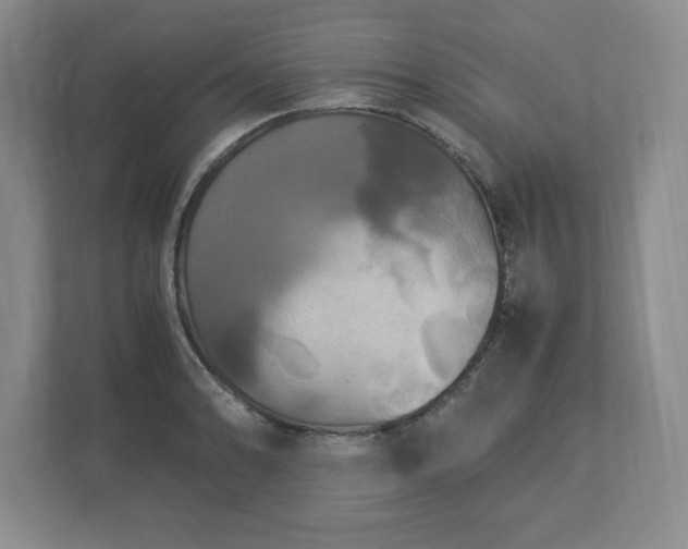 X0000113071086200909041053