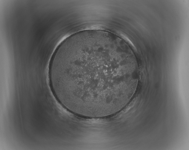 X0000113071087200909041053