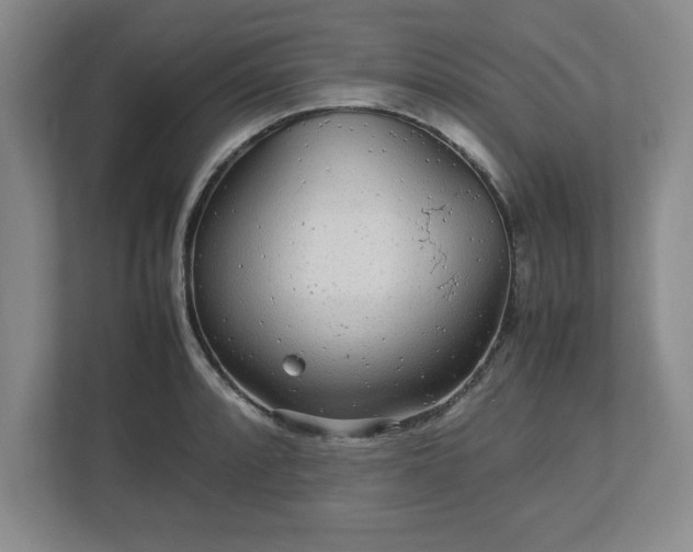 X0000113071088200909041053