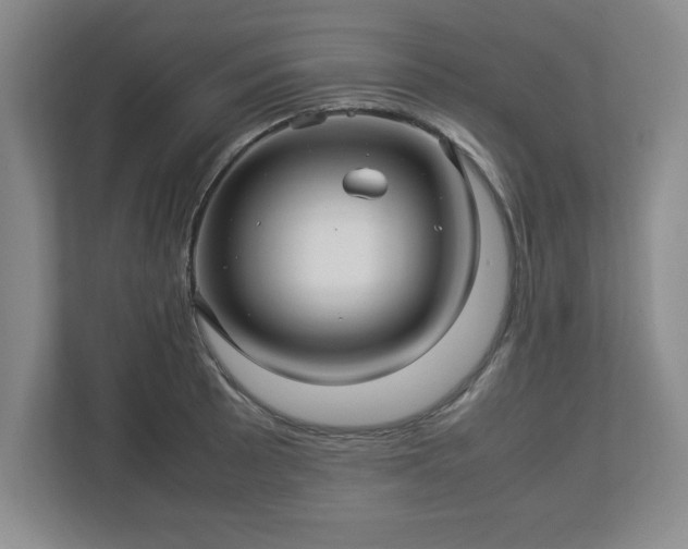 X0000113071089200909041053