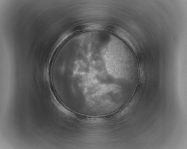 X0000113071090200909041053