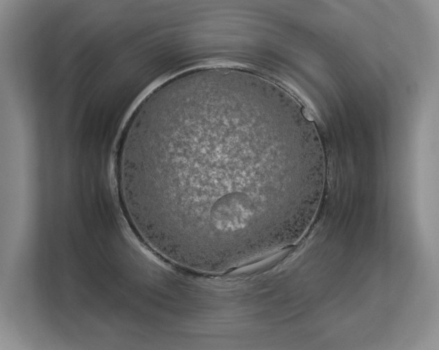 X0000113071092200909041053