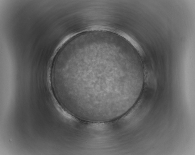 X0000113071094200909041053