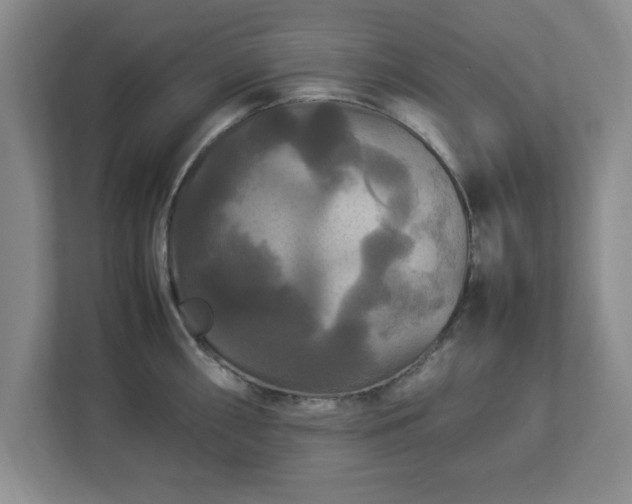 X0000113071098200909041053