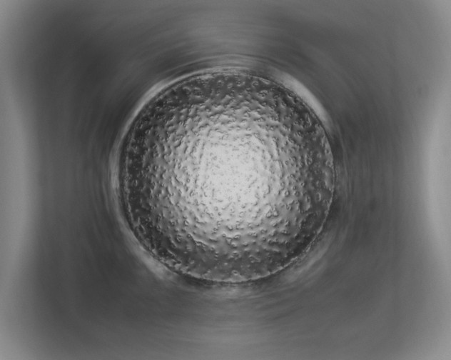 X0000113071099200909041053