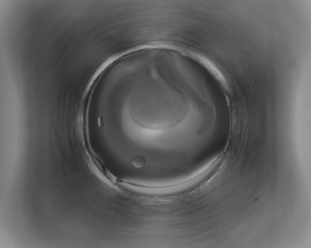 X0000113071100200909041053