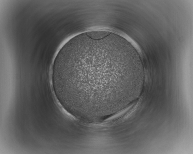 X0000113071102200909041053