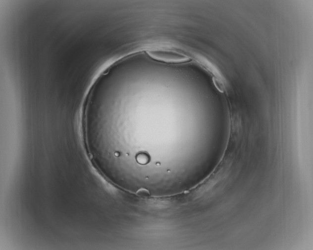 X0000113071103200909041053