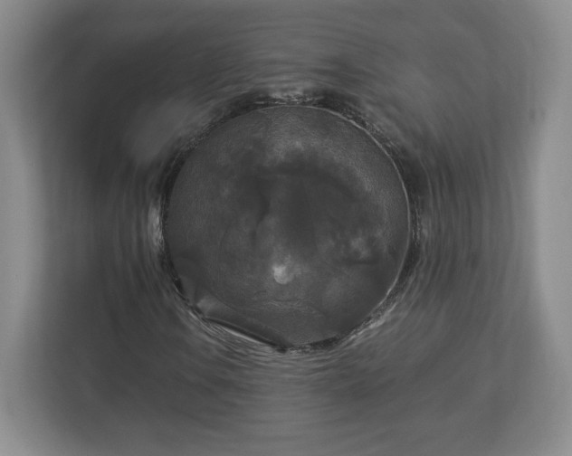 X0000113071106200909041052