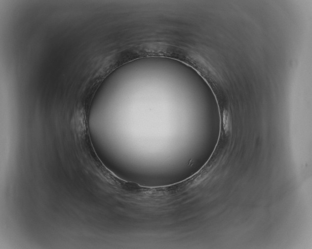 X0000113071107200909041052