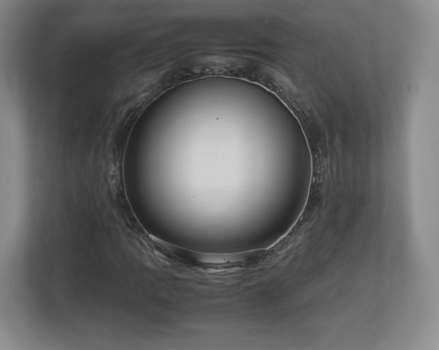 X0000113071109200909041052