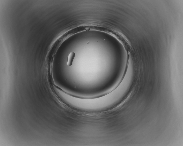 X0000113071114200909041052