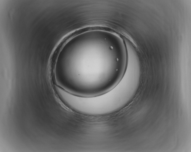 X0000113071116200909041052