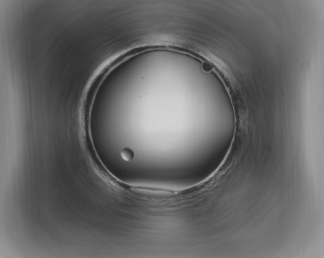 X0000113071120200909041052