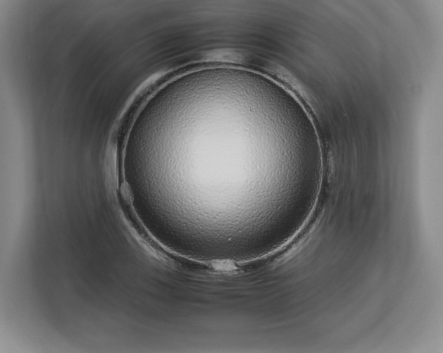 X0000113071123200909041052