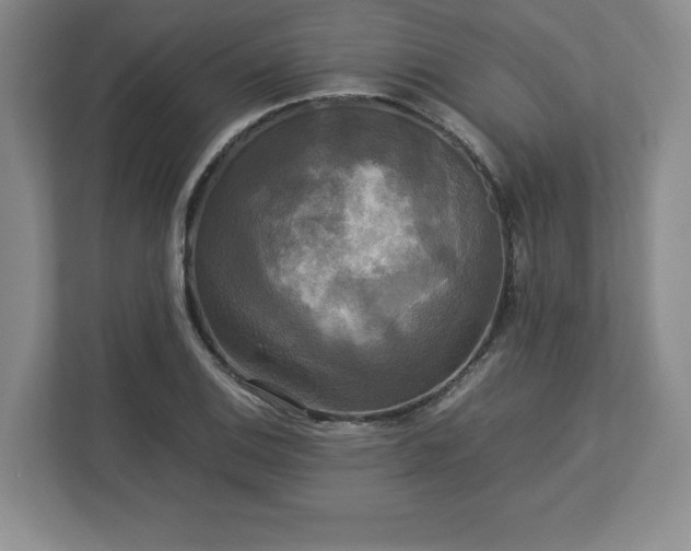 X0000113071124200909041052